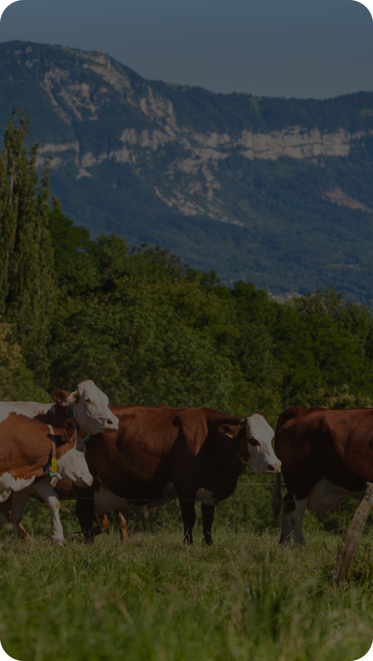 Hero background mobile